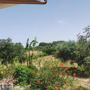 Vacanze Baglio Sances Birgi Vecchi