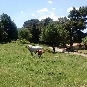 Bosco Pianetti Bauernhof